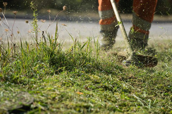 Souffleur de feuilles sans fil : guide comparatif et conseils 2025